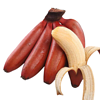 果之然 福建土楼特产 红美人香蕉 红皮香蕉礼盒装净重5斤 新鲜当季水果 时令水果