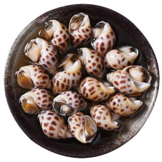 【活鲜】御鲜之王 鲜活花螺 海鲜贝类水产 大号花螺500g 30-40个