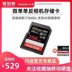 SanDisk 闪迪 SD存储卡 256GB