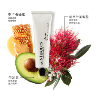 Antipodes麦卢卡蜂蜜面膜改善痘痘清洁肌底保湿补水礼盒旅行套装