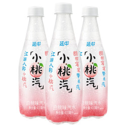 YANZHONG 延中 小桃汽 410ml*12瓶/延中盐汽水600ml*20瓶