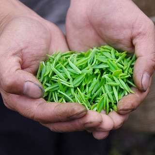 林湖 特级 雀舌 100g