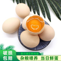 富润世 新鲜鸡蛋黄河滩区鲜鸡蛋 土鸡蛋 柴鸡蛋农家山养 草鸡蛋 笨鸡蛋京东生鲜 40枚