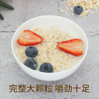 嘉谷 Jiagu 营养早餐冲饮谷物膳食纤维即食桶装无添加蔗糖非脱脂即食冲饮代餐纯燕麦片 1袋750g装 全麦750g三袋装（共2250g）