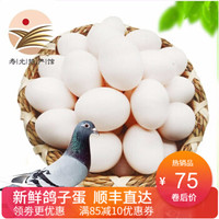 【顺丰现货直发】新鲜鸽子蛋孕妇宝宝辅食个头均匀 20枚