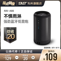 SAST 先科 a66 无线蓝牙小音箱