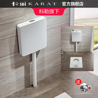 科勒旗下卡丽卫生间蹲便水箱家用冲厕器蹲便器水箱套装冲水箱