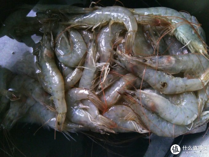 海买虾类