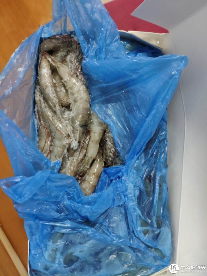 海买虾类