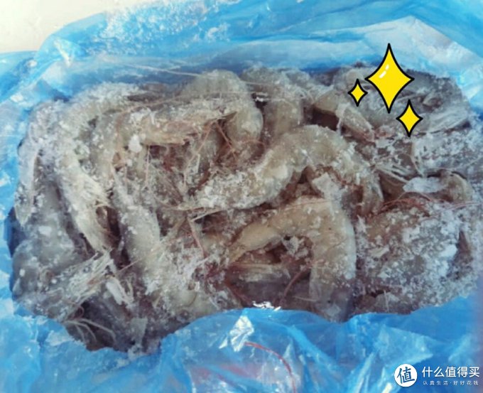 海买虾类