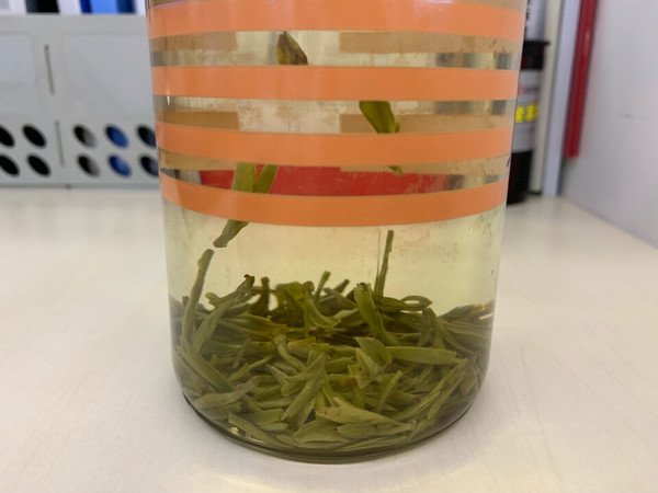 叶嫩、型美、香淡,是款好茶!