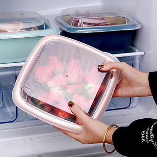 居家迷家用镂空沥水篮双层带盖多功能沥水篮厨房冰箱保鲜盒塑料洗菜蓝水果盆 粉色一个装