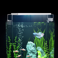 迪普尔 鱼缸灯led灯水草灯造景灯日光灯水族箱灯具补光灯 三排高亮蓝白灯6W 可夹厚度0.5CM内