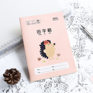 M&G 晨光 K32274 小学生作业本 田字格本 32K/22页 10本装