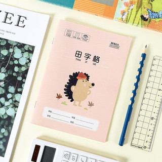 M&G 晨光 K32274 小学生作业本 田字格本 32K/22页 10本装