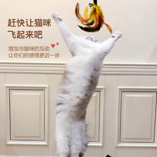 憨憨乐园 羽毛吸盘逗猫棒 弹性杆 宠物猫玩具