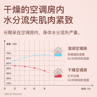 度越 加湿器迷你家用卧室办公室桌面孕婴车载空调房空气加湿补水静音USB便携式创意礼品 典雅白【静音大喷雾 纳米出雾加湿 】自营配送