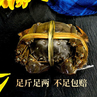 【礼券】阳澄之王大闸蟹礼券 华贵型-2766 公4.5两/只 母3.5两/只 4对8只装螃蟹 大闸蟹提货券湖蟹海鲜水产