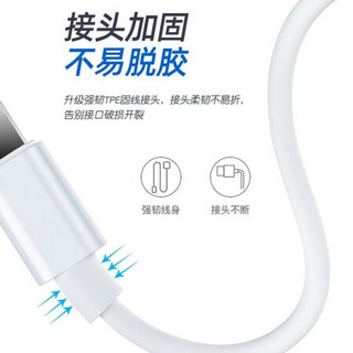 VIKEN 维肯 苹果iPad充电器套装快充头适用iphone手机平板air2/Pro/mini4/3/6充电头 12W快充插头+苹果数据线