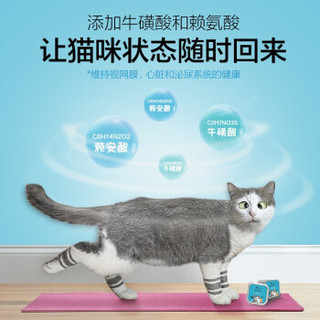 LORDE 里兜 猫粮猫咪罐头成猫零食营养鱼肉味猫湿粮肉罐12罐猫罐头 混合口味12罐