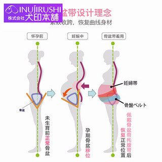 日本犬印本铺骨盆带月子盆骨矫正带产后恢复孕妇收胯提臀顺产薄款