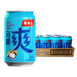 京东PLUS会员：杨协成 马蹄爽 荸荠饮料 300ml*24罐 *2件