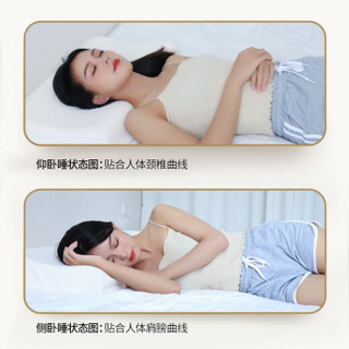 洁丽雅乳胶枕 泰国进口颈椎枕头天然乳胶枕芯阻螨按摩助眠 曲线平面枕-大号单只