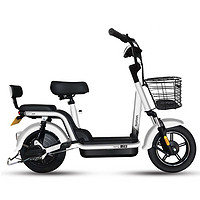 新日（Sunra）电动车 新国标小多奇电动自行车 可提取锂电真空胎