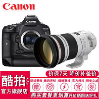 佳能（Canon) EOS-1D X Mark II 全画幅4K专业单反相机 1DX2 300mm f/2.8L IS II USM 套餐二