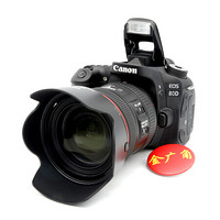 佳能（Canon）EOS 80D数码单反相机 (24-70mm f/4L 拆机镜头)套装