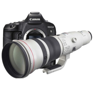 佳能（Canon) EOS-1D X Mark II 全画幅4K专业单反相机 1DX2 800mm f/5.6L IS USM 套餐四