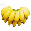 广西小米蕉 新鲜香蕉 大香蕉芭蕉粉蕉现摘应季新鲜水果 小米蕉约5斤装