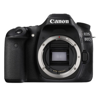 佳能（Canon）佳能80D套机单机eos80d单反数码照相机 佳能80D+(18-55+55-250双镜头) 套餐8