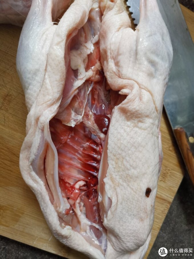 肌肉熊武家禽类