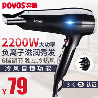 奔腾（povos）PH9802L负离子吹风机家用 2200W大功率吹风筒发廊不伤发宿舍用电吹风