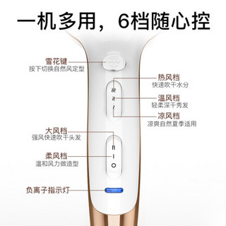 雷瓦(RIWA) 电吹风机 家用负离子2200W大功率快速干发吹风筒 RC-7510