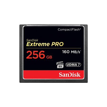  闪迪 Sandisk  存储卡UDMA7等级4K视频拍摄CF卡黑色高速内存卡存储卡高速影像卡 256G 160MB/s 1067X