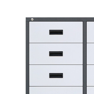 派格 钢柜文件柜办公柜铁皮柜档案柜凭证柜钢制资料柜子 S6D-10双六斗柜