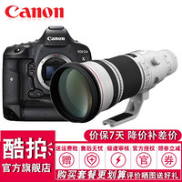 佳能（Canon) EOS-1D X Mark II 全画幅4K专业单反相机 1DX2 500mm f/4L IS II USM 套餐一
