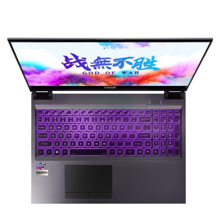 Hasee 神舟战神Z9-CU7PK 15.6英寸游戏本黑色(酷睿i7-10750H、RTX 2070