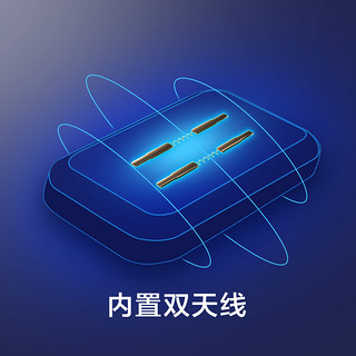 Netcore 磊科  NW360PRO 免驱动无线网卡