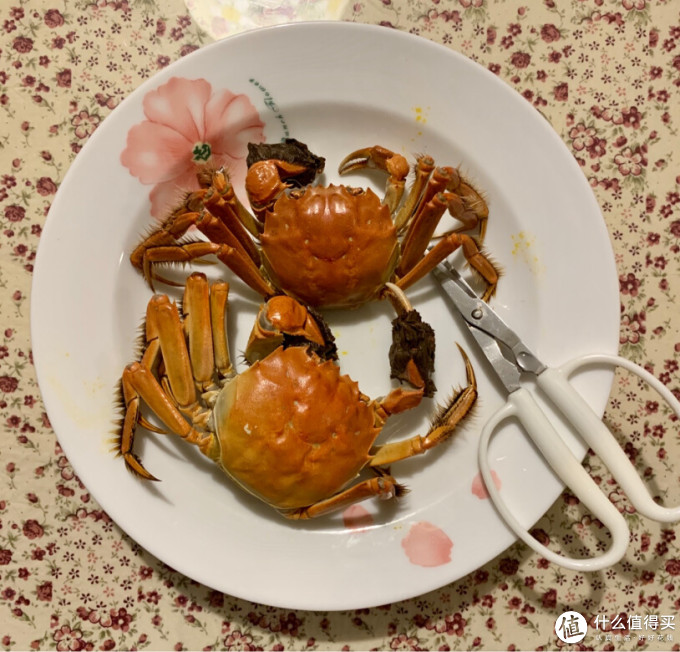 颜氏蟹业蟹类