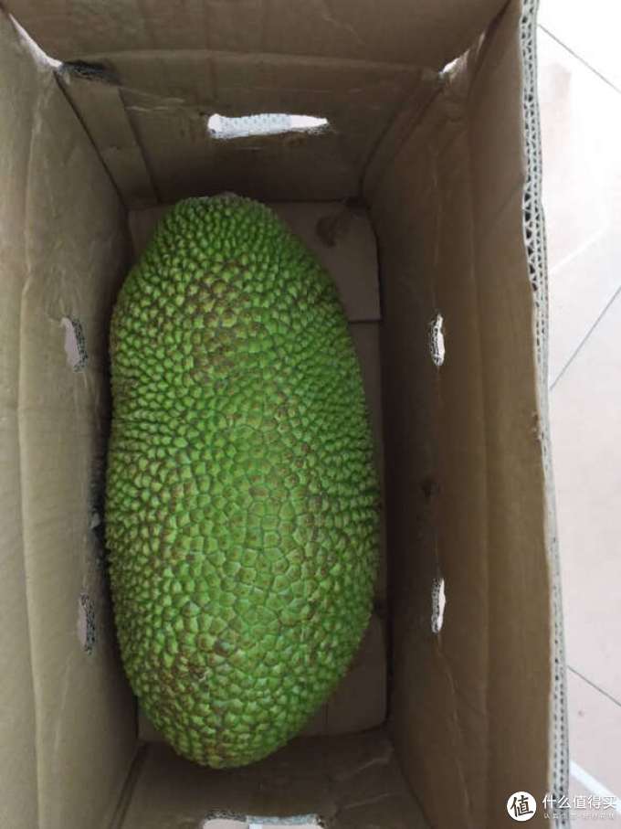 颜氏蟹业蟹类
