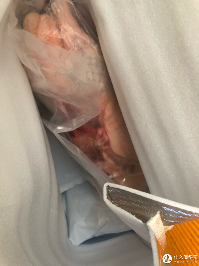 肌肉熊武家禽类