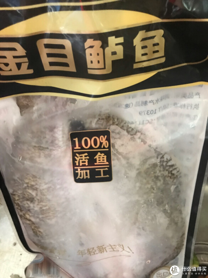 领鲜派鱼类