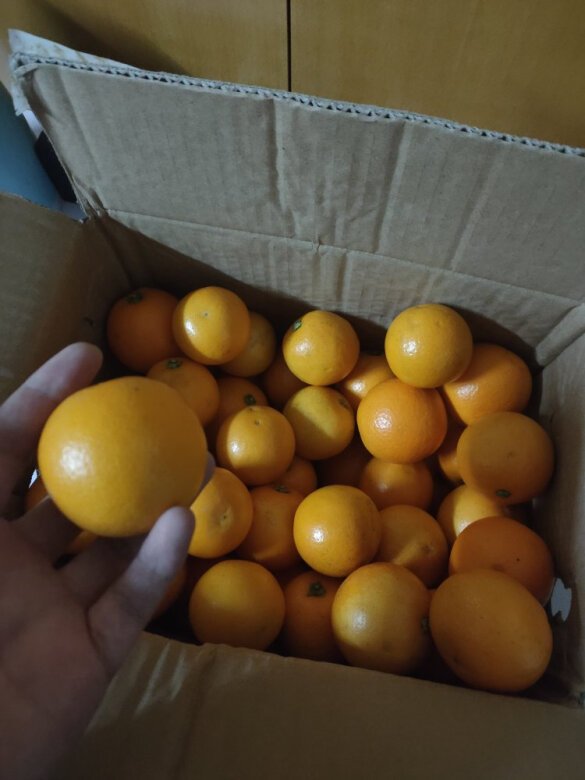 虽然小，但是味道不错，没有坏的。