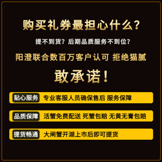 【礼券】阳澄联合 大闸蟹礼券2888型公4.0两 母3.0两 4对螃蟹券 螃蟹券 礼盒 礼品卡 海鲜水产