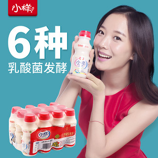小样小乳酸益生元330ml*12瓶早餐乳酸菌牛奶饮品学生儿童酸奶饮料