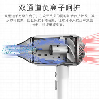 奔腾（POVOS）PH5890I吹风机家用理发店负离子不伤发大功率学生宿舍便携小电风筒礼盒装 米白色