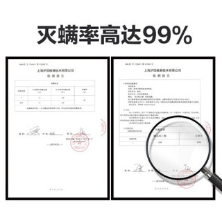 洗得宝浓缩多用途除螨消毒液喷雾500ml套装 物体表面消毒空气消毒婴儿内衣玩具餐具衣物宠物消毒液